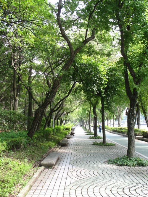 Some of the best sidewalks in Taipei are near Daan Park.